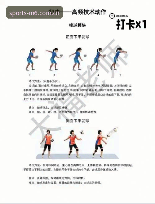 M6体育使用教程详解：从注册到高频操作的完整指南