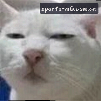 陈静